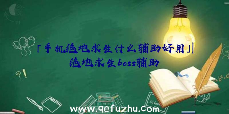「手机绝地求生什么辅助好用」|绝地求生boss辅助